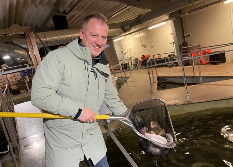 
“Vēl kāds mēnesis jāpaaugas,” Lauris Apsis izvērtē Arktikas paliju svaru. Zivij jāsasniedz 1,5 kg, kad to pārved uz atpeldināšanas baseinu, un pēc divām nedēļām aizceļo pie patērētājiem.
