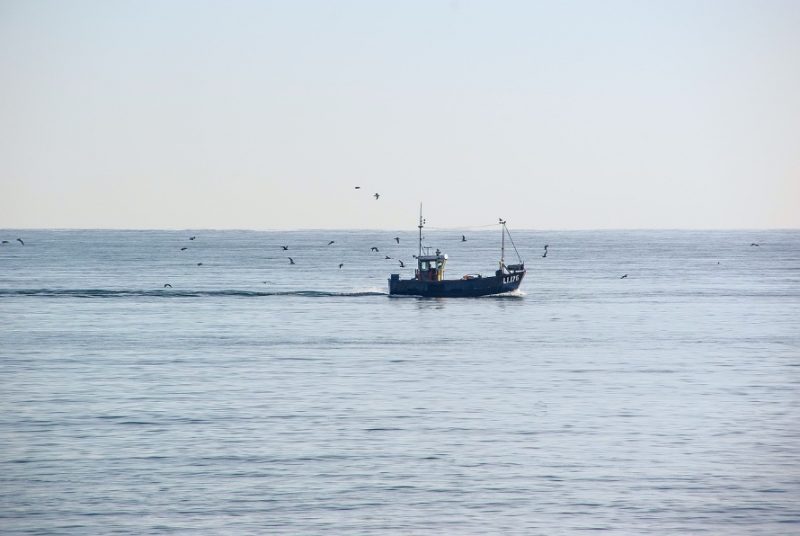 
Publicitātes attēls
