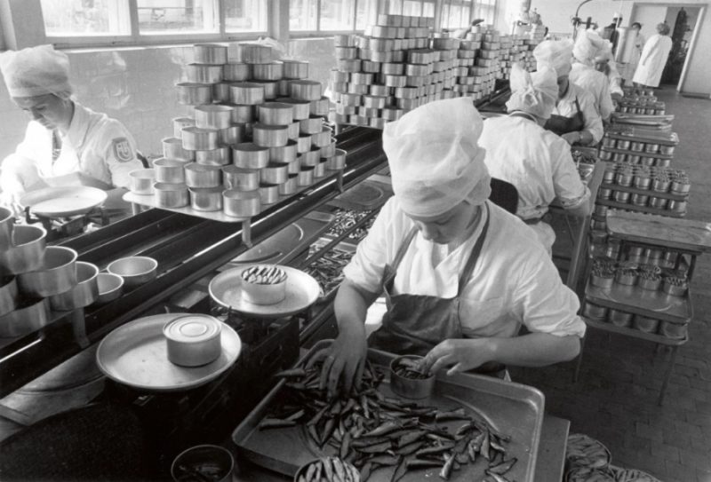 
Zivju konservēšanas Kirovas zvejniecības kolhozā netālu no Tallinas, Igaunijā (tolaik Padomju Krievijā). 1966. gads.
