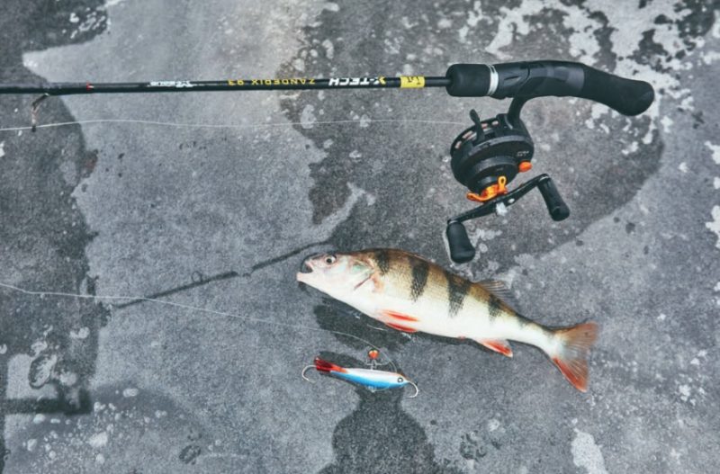 
Zemledus makšķerēšana
