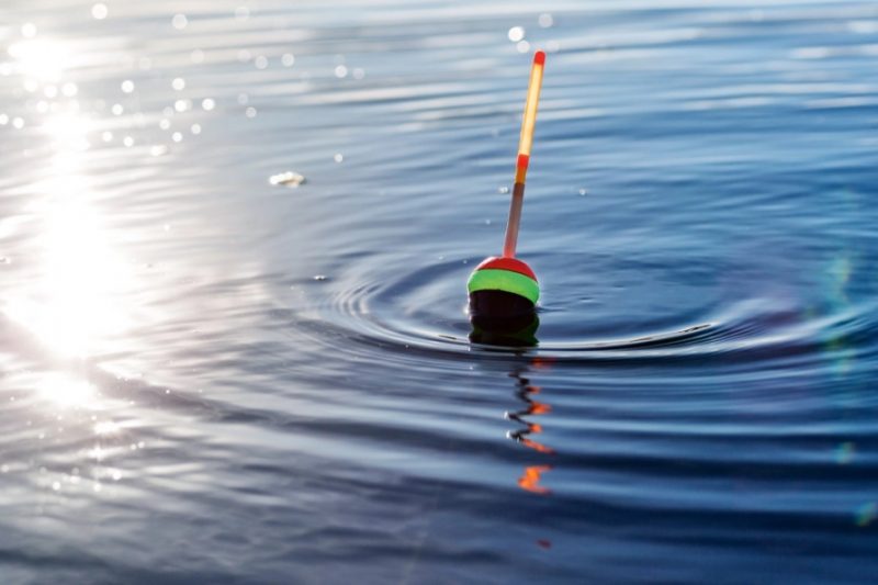 
Foto: Shutterstock / Latvijas Mediji
